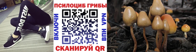 Псилоцибиновые грибы ЛСД  Котельнич 